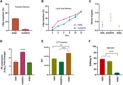 Efficient and error-free correction of sickle mutation in human erythroid cells using prime editor-2